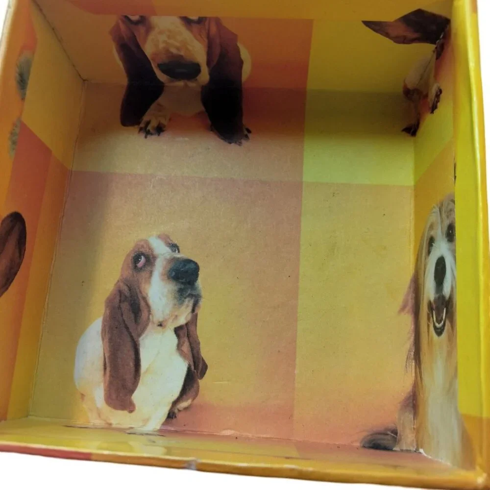 Basset Hound Jewelry Gift Box Yellow Orange